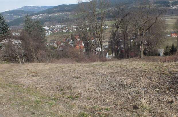 Grundstück kaufen in 9711 Paternion (Bild 1)