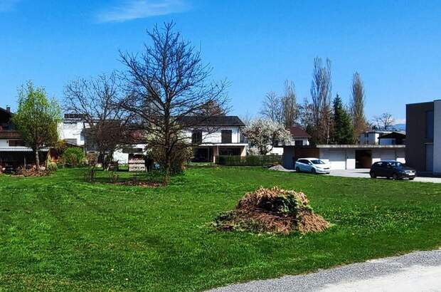 Haus mit Garten kaufen in 6890 Lustenau (Bild 3)