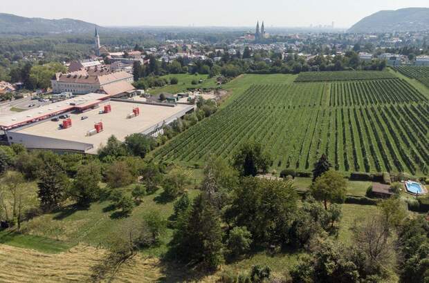 Grundstück kaufen in 3400 Klosterneuburg (Bild 5)