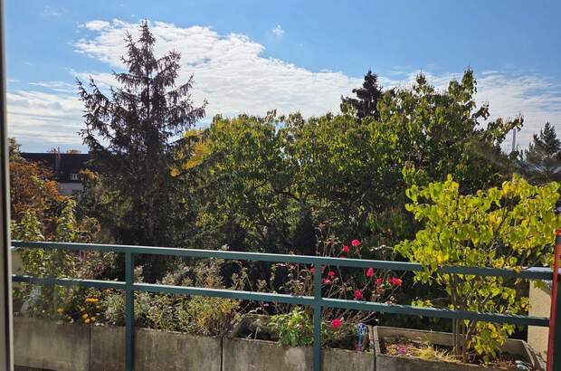 Wohnung mieten in 1100 Wien (Bild 2)