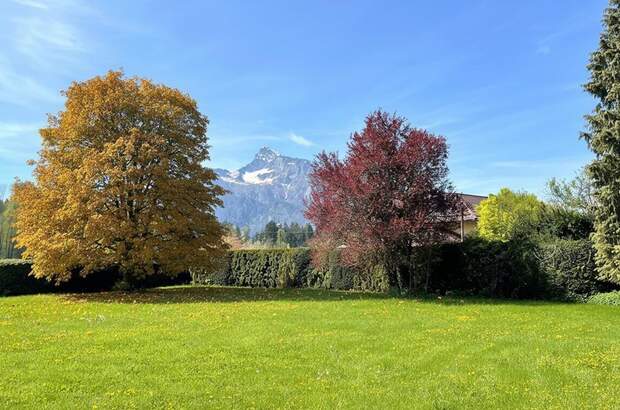 Grundstück kaufen in 5020 Salzburg (Bild 1)