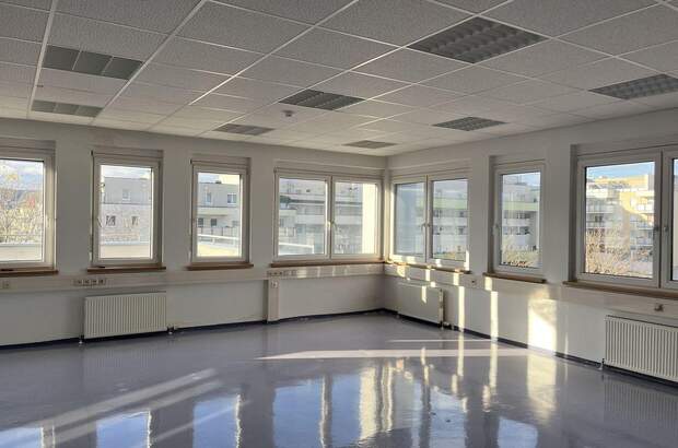 Gewerbeobjekt mieten in 2351 Wiener Neudorf (Bild 1)