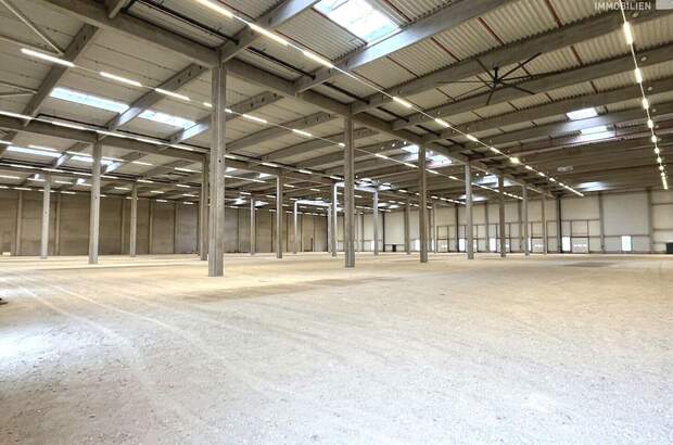 Gewerbeobjekt mieten in 4694 Ohlsdorf (Bild 5)