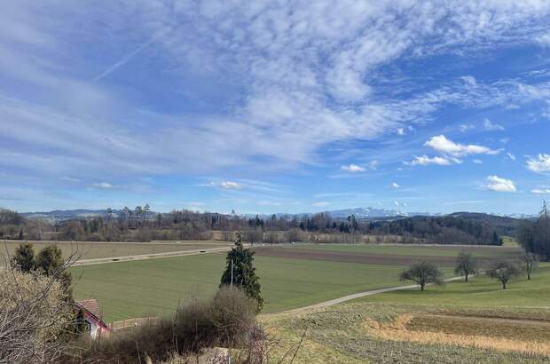 Haus mit Garten kaufen in 8523 Hagenbuch (Bild 1)