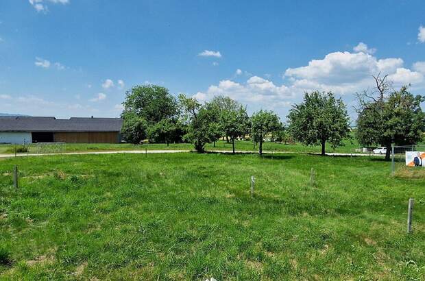 Haus mit Garten kaufen in 4656 Eisengattern (Bild 4)