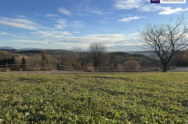Grundstück kaufen in 8045 Weinitzen (Bild 4)