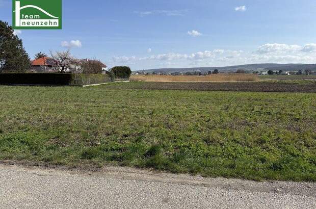 Mehrfamilienhaus kaufen in 2111 Tresdorf (Bild 4)