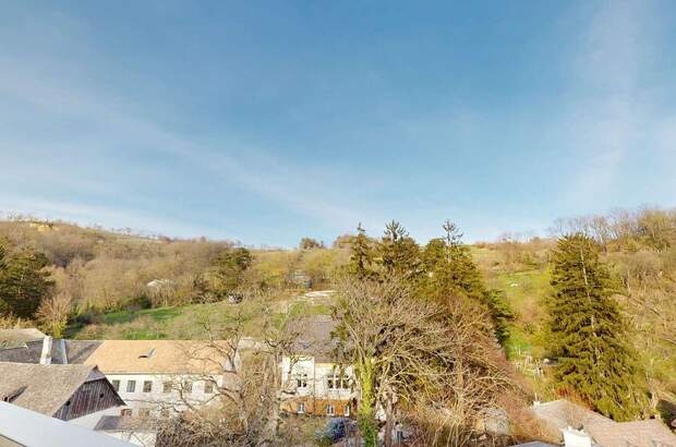 Wohnung mit Balkon kaufen in 1190 Wien (Bild 1)