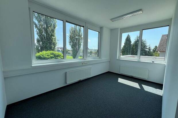 Gewerbeobjekt mieten in 8054 Graz (Bild 5)