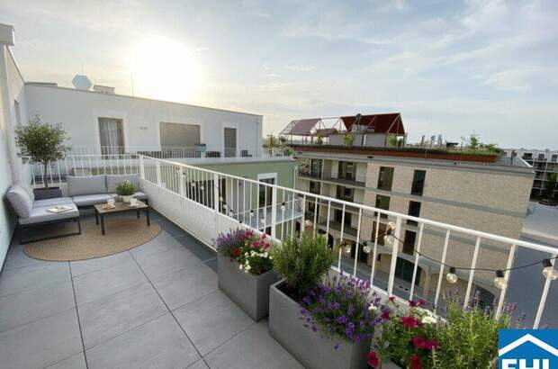 Terrassenwohnung mieten in 3451 Michelhausen (Bild 1)