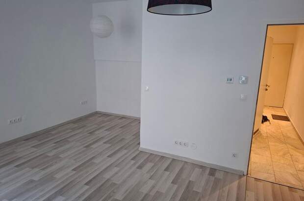Altbauwohnung mieten in 1070 Wien (Bild 4)