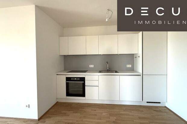Terrassenwohnung mieten in 1100 Wien (Bild 1)