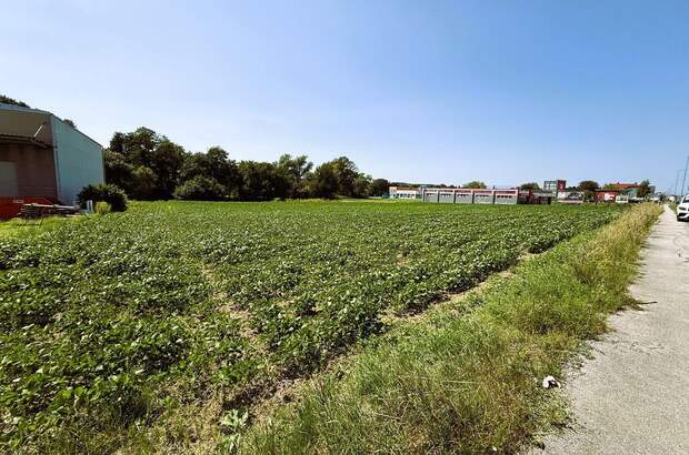 Gewerbeobjekt kaufen in 7400 Oberwart (Bild 4)