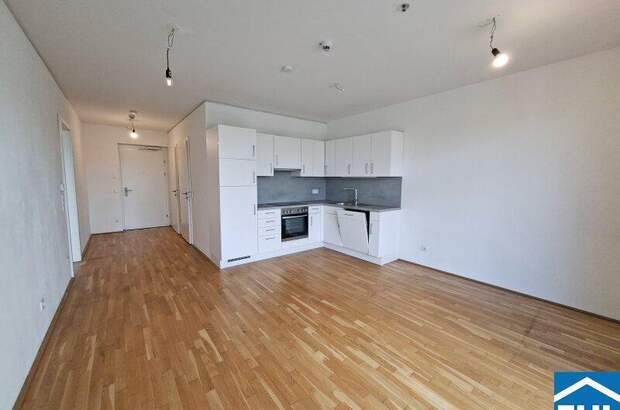 Terrassenwohnung mieten in 1020 Wien (Bild 2)