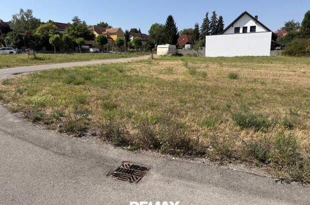 Grundstück kaufen in 3433 Königstetten (Bild 2)
