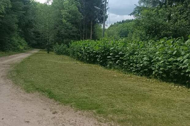 Grundstück kaufen in 9601 Hohenthurn (Bild 2)