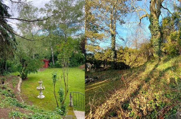 Haus mit Garten kaufen in 2163 Guttenbrunn (Bild 3)