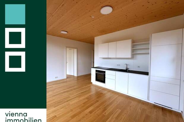 Terrassenwohnung mieten in 1120 Wien (Bild 1)
