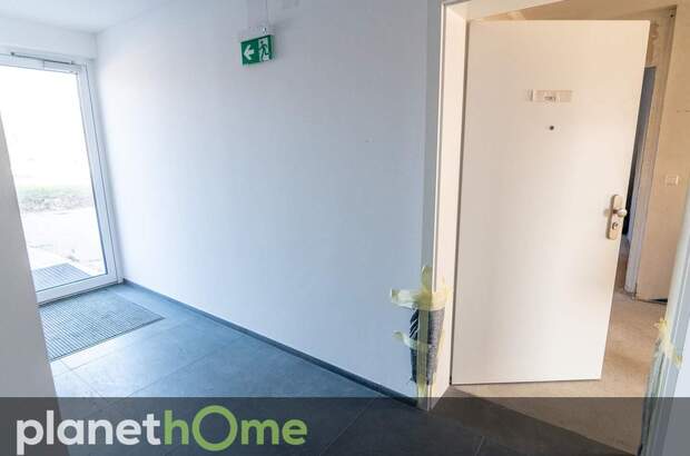 Terrassenwohnung kaufen in 2524 Teesdorf (Bild 4)