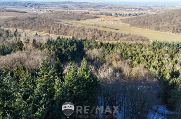 Jagd- und Forstwirtschaft kaufen in 3452 Atzenbrugg (Bild 2)