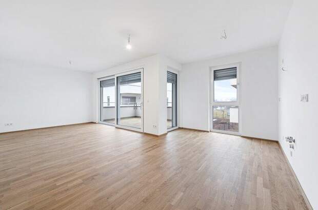 Terrassenwohnung kaufen in 2700 Wr. Neustadt (Bild 2)