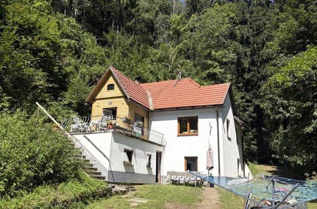 Haus mit Garten kaufen in 9811 Lendorf (Bild 1)