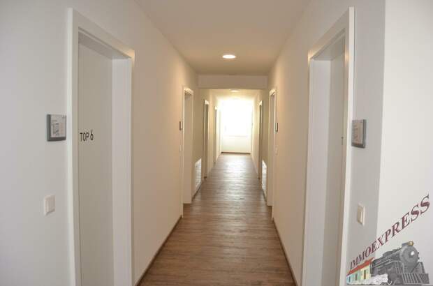 Büro / Praxis mieten in 2401 Fischamend (Bild 4)