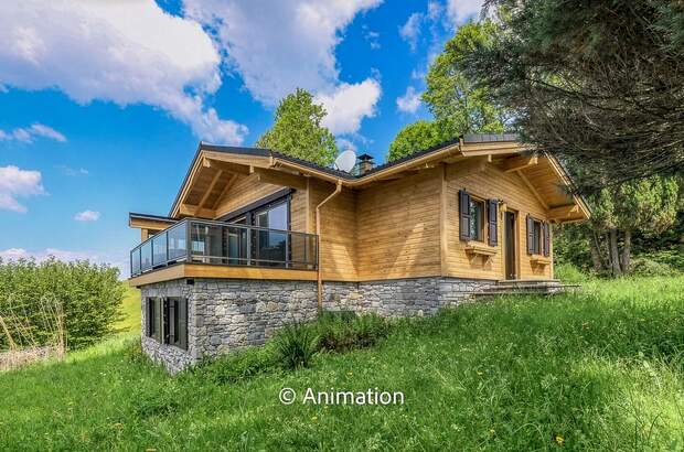 Immobilie kaufen in 6361 Hopfgarten (Bild 2)