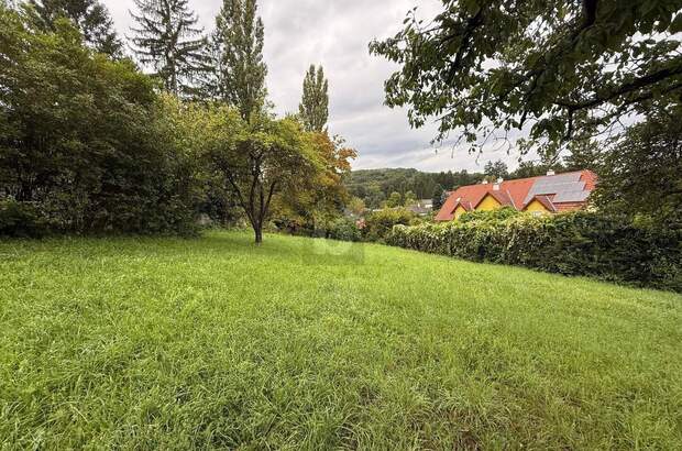 Grundstück kaufen in 2384 Breitenfurt (Bild 2)