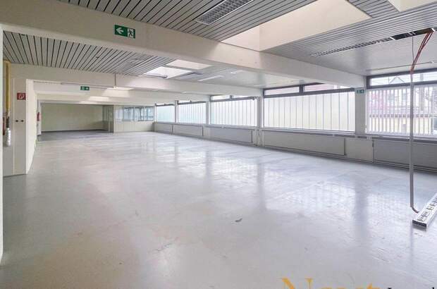 Gewerbeobjekt mieten in 4061 Pasching (Bild 3)