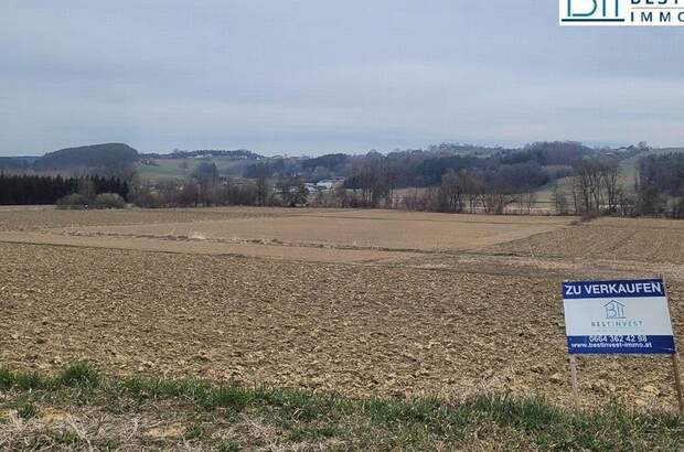 Grundstück kaufen in 8261 Sinabelkirchen (Bild 3)