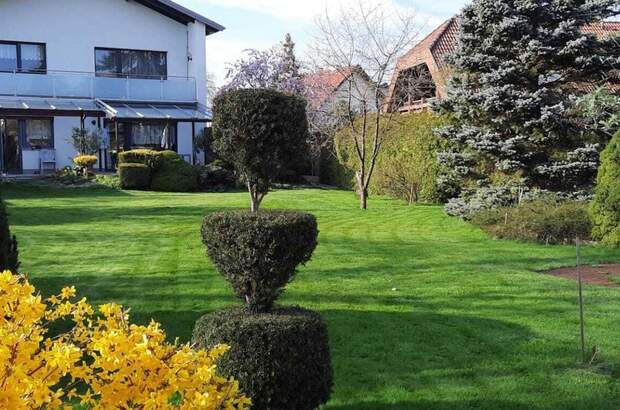 Haus kaufen in 4600 Wels (Bild 1)