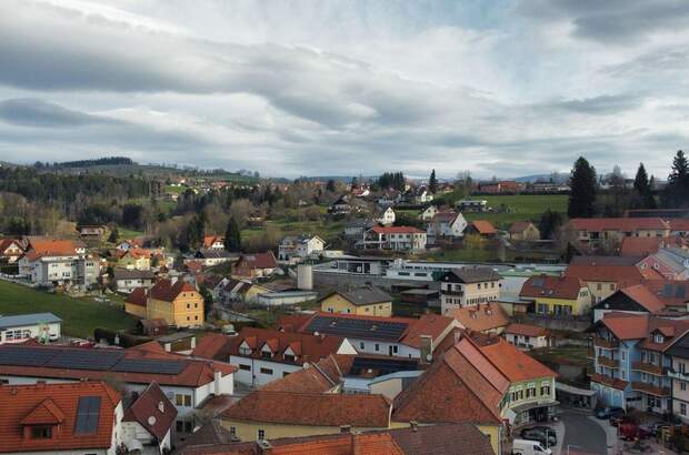 Haus mit Garten kaufen in 8250 Vorau (Bild 2)