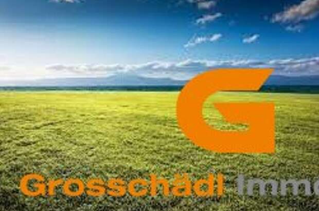 Gewerbeobjekt mieten in 5202 Neumarkt (Bild 1)