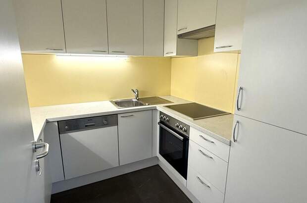 Gewerbeobjekt mieten in 1190 Wien (Bild 5)