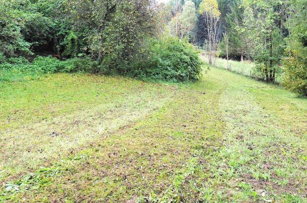 Grundstück kaufen in 8661 Sankt Barbara (Bild 4)