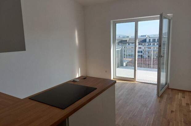 Terrassenwohnung mieten in 4020 Linz (Bild 4)