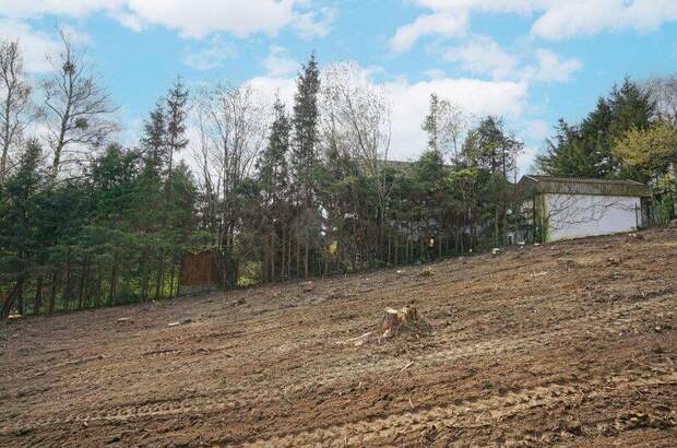 Grundstück kaufen in 3031 Rekawinkel (Bild 5)