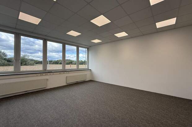 Gewerbeobjekt mieten in 8200 Gleisdorf (Bild 4)