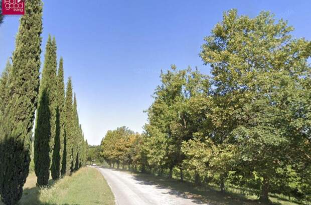 Gewerbeobjekt kaufen in 47032 Bertinoro (Bild 5)