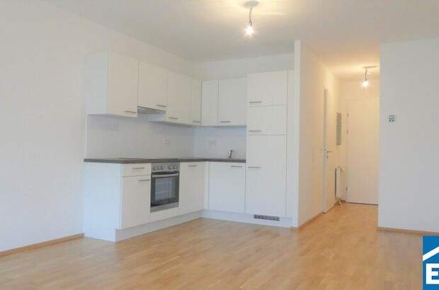 Terrassenwohnung mieten in 1090 Wien (Bild 1)