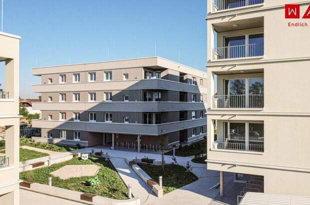 Terrassenwohnung mieten in 4623 Gunskirchen (Bild 1)