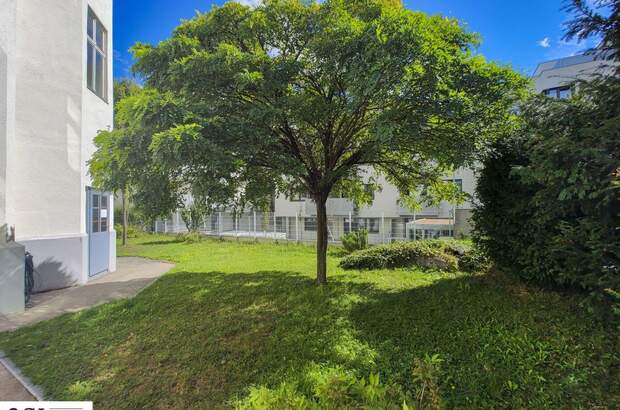 Altbauwohnung kaufen in 1130 Wien (Bild 4)