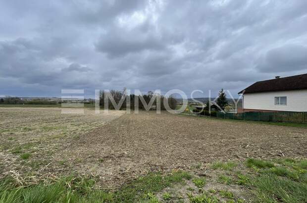 Grundstück kaufen in 3452 Atzenbrugg (Bild 2)