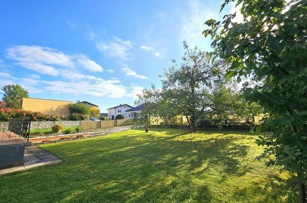 Haus kaufen in 4812 Pinsdorf (Bild 4)