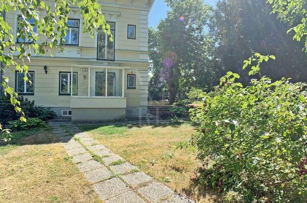 Haus mieten in 2340 Mödling (Bild 3)