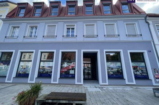 Wohnanlage kaufen in 8330 Feldbach (Bild 2)