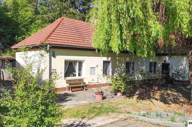 Grundstück kaufen in 2551 Enzesfeld