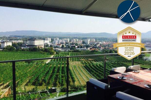 Terrassenwohnung mieten in 3500 Krems (Bild 2)