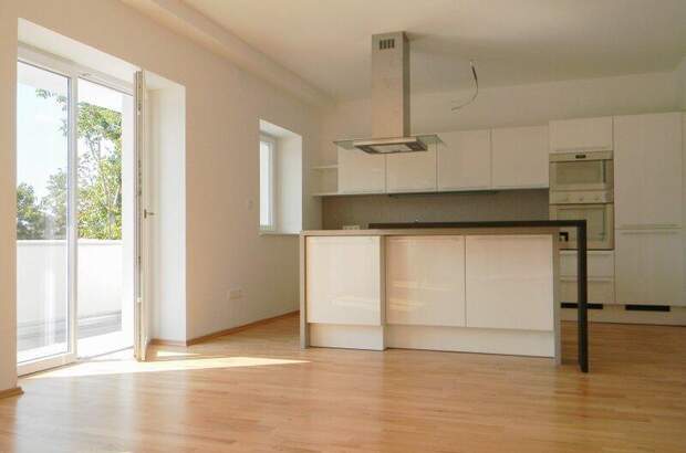 Terrassenwohnung mieten in 1220 Wien (Bild 1)